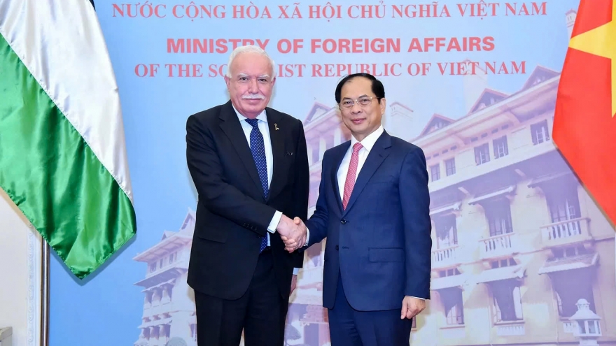 Vietnam supports peaceful settlement of Middle East conflict